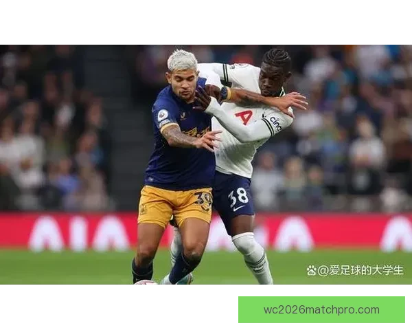 纽卡斯尔联俱乐部最新动态球员转会策略及赛季展望分析